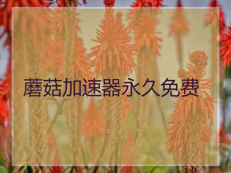 蘑菇加速器永久免费 蘑菇加速器永久免费