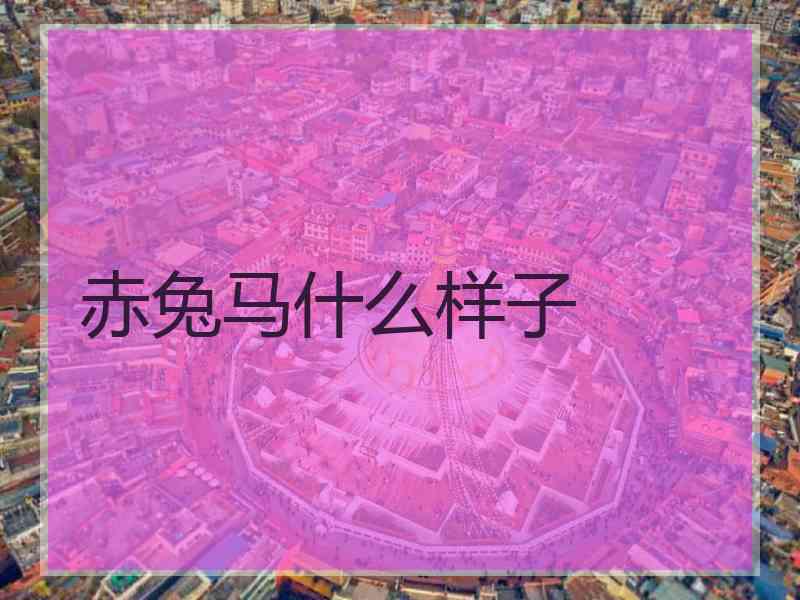 赤兔马什么样子 赤兔马什么样子