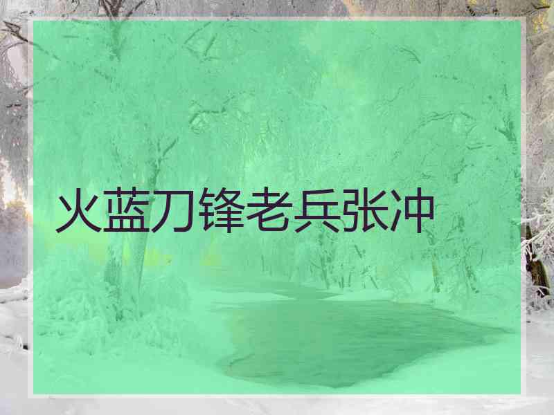 火蓝刀锋老兵张冲 火蓝刀锋老兵张冲