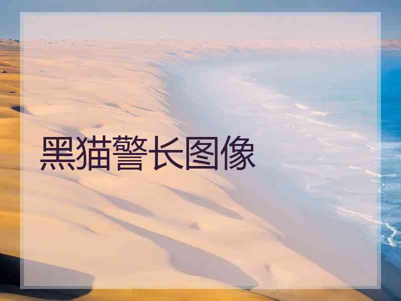 黑猫警长图像 黑猫警长图像