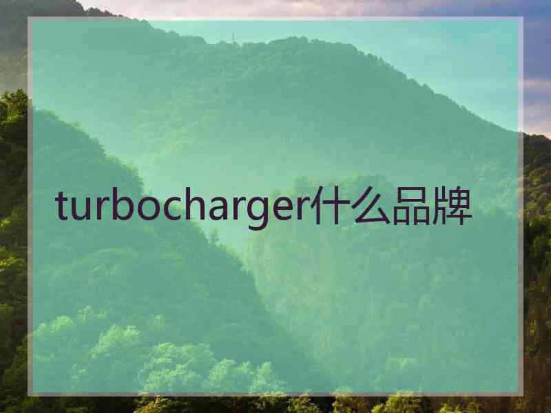 turbocharger什么品牌