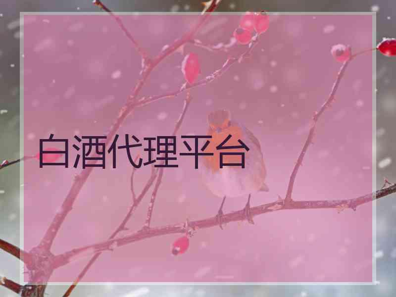 白酒代理平台 白酒代理平台
