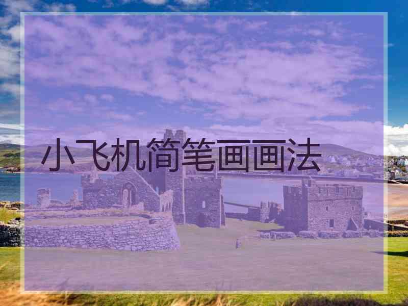 小飞机简笔画画法 小飞机简笔画画法