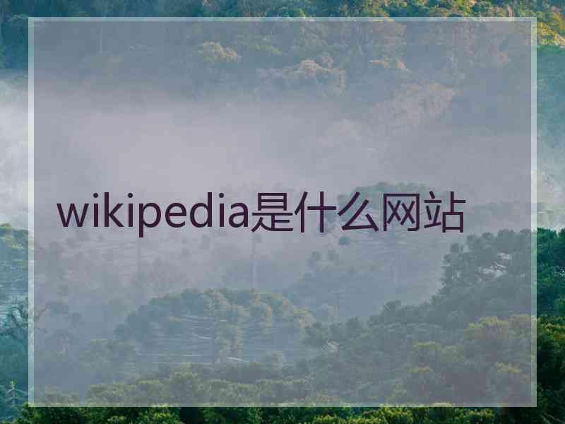 wikipedia是什么网站
