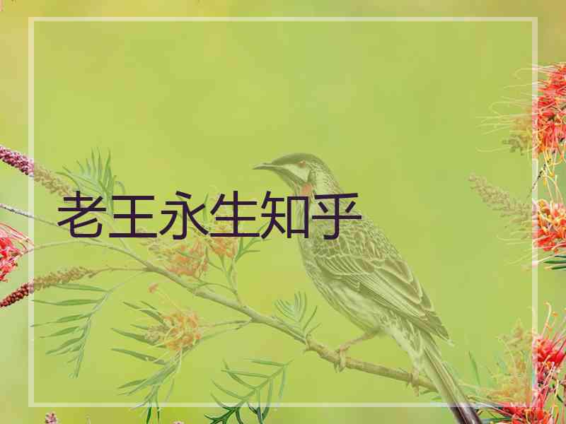 老王永生知乎 老王永生知乎