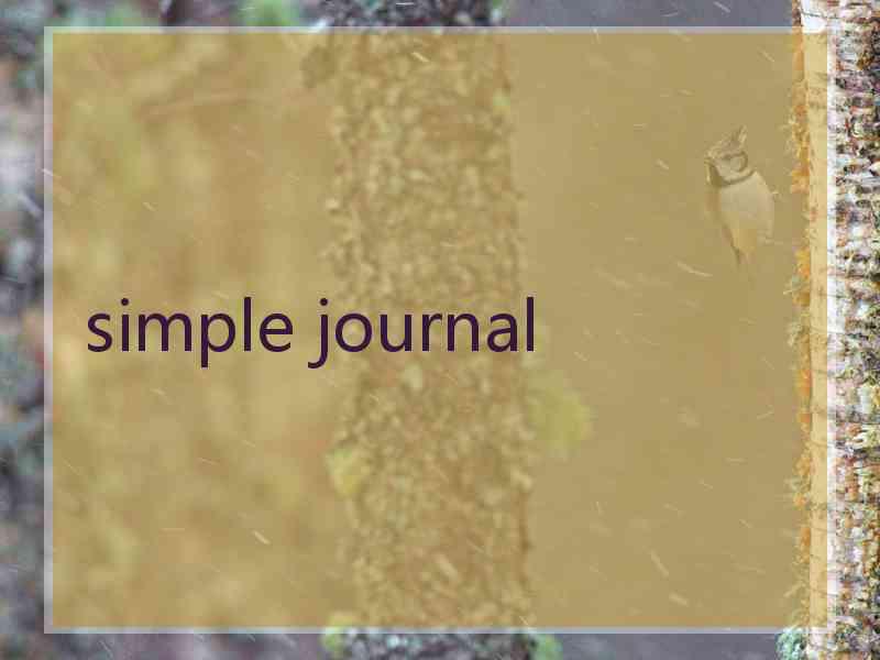 simple journal simple journal