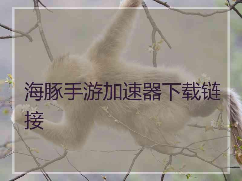 海豚手游加速器下载链接 海豚手游加速器下载链接