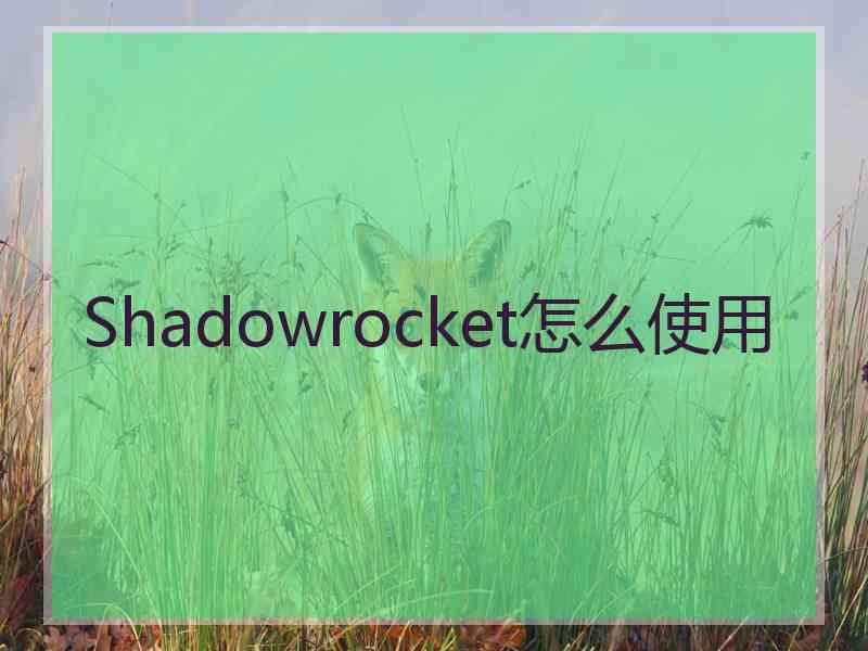 Shadowrocket怎么使用