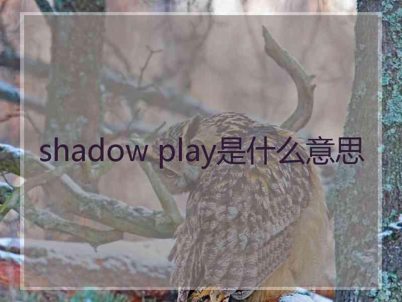 shadow play是什么意思 shadow play是什么意思