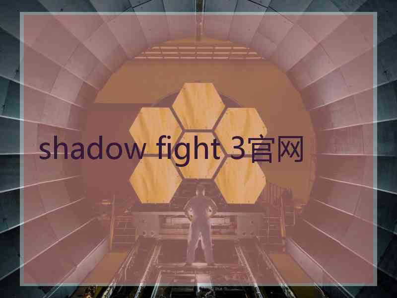 shadow fight 3官网 shadow fight 3官网