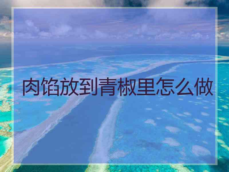 肉馅放到青椒里怎么做 肉馅放到青椒里怎么做