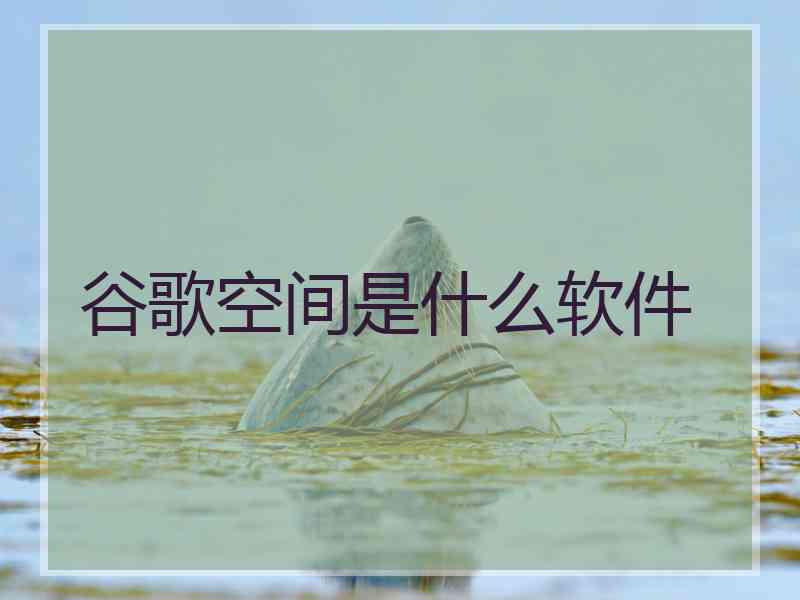谷歌空间是什么软件 谷歌空间是什么软件
