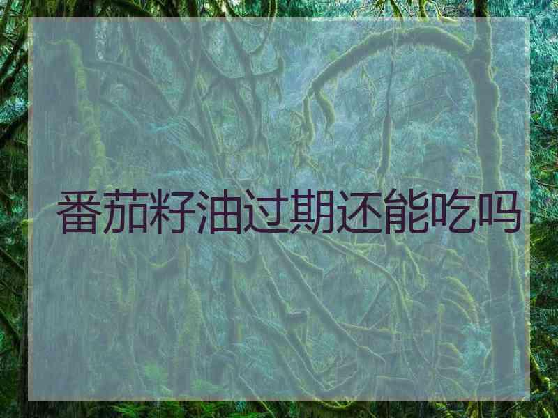 番茄籽油过期还能吃吗 番茄籽油过期还能吃吗