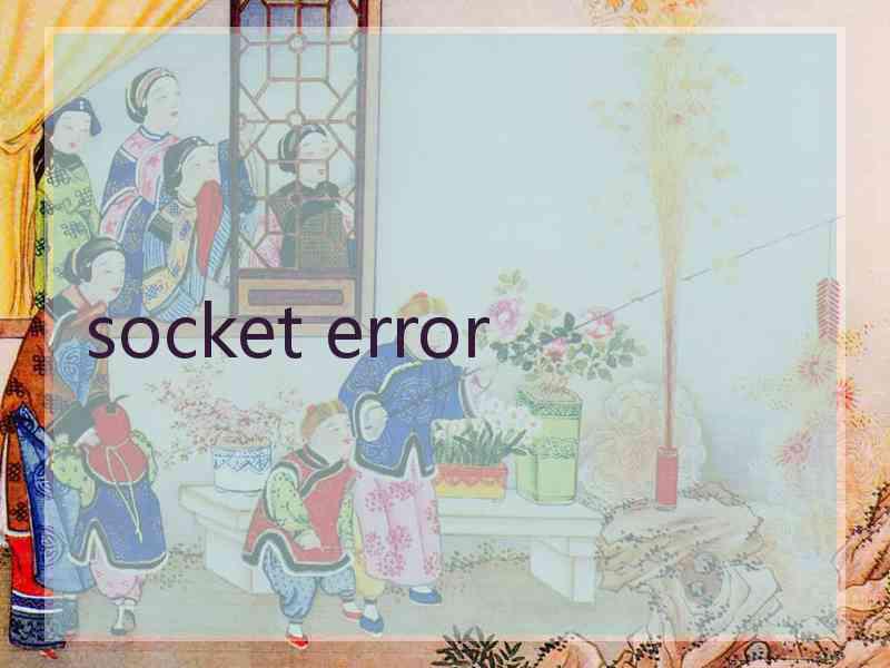 socket error