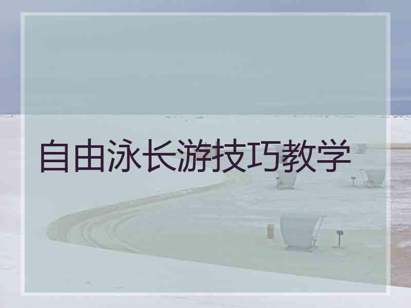 自由泳长游技巧教学 自由泳长游技巧教学