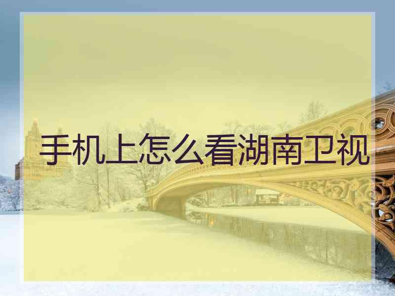 手机上怎么看湖南卫视 手机上怎么看湖南卫视