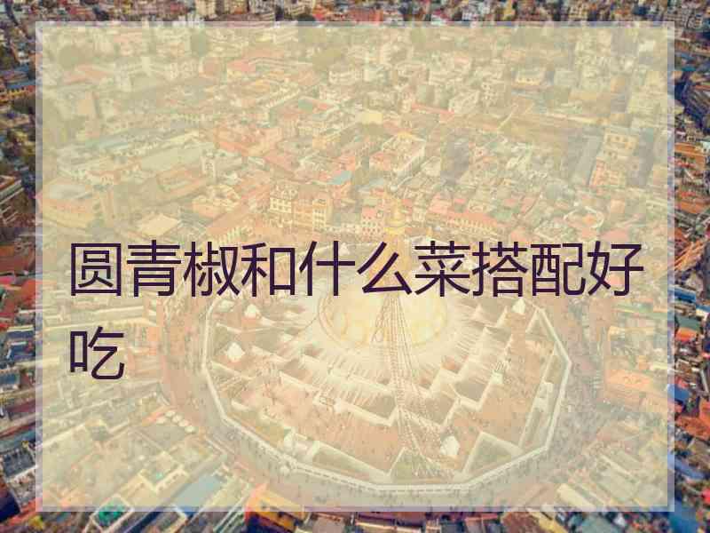 圆青椒和什么菜搭配好吃 圆青椒和什么菜搭配好吃