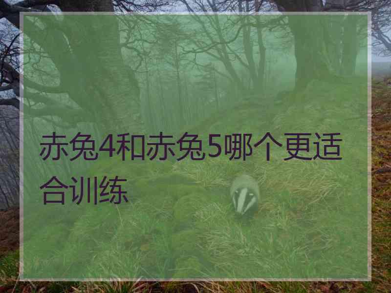 赤兔4和赤兔5哪个更适合训练 赤兔4和赤兔5哪个更适合训练