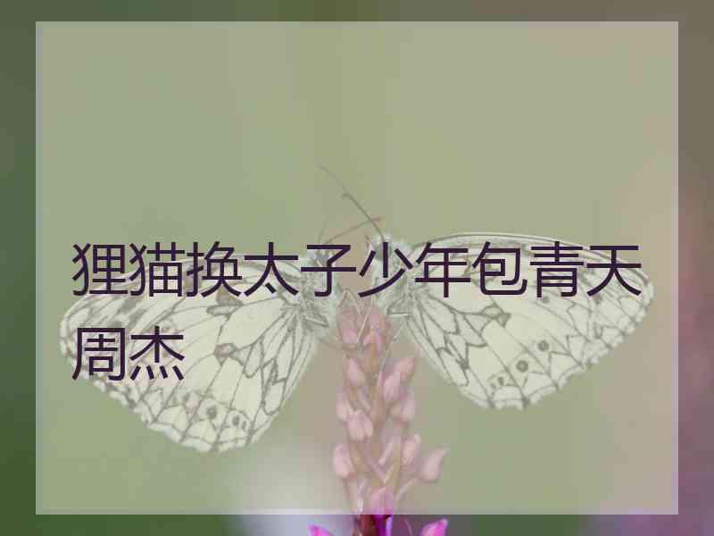 狸猫换太子少年包青天周杰 狸猫换太子少年包青天周杰