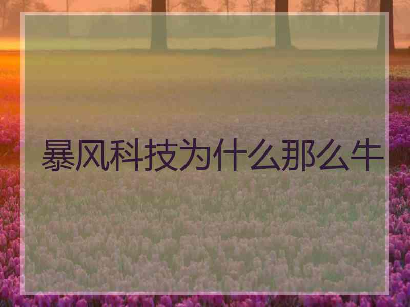 暴风科技为什么那么牛 暴风科技为什么那么牛