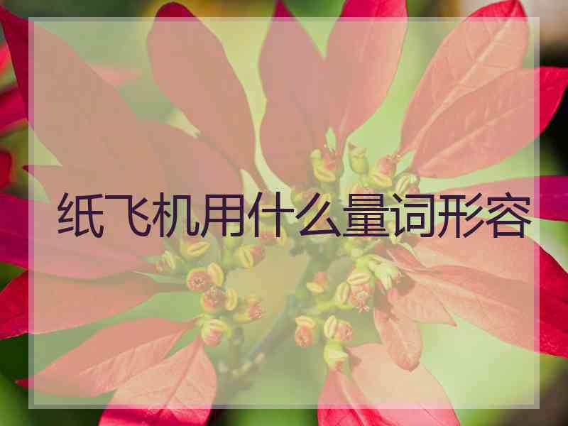 纸飞机用什么量词形容 纸飞机用什么量词形容