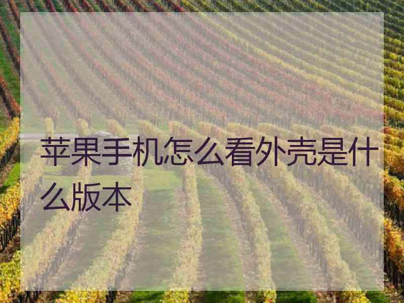 苹果手机怎么看外壳是什么版本 苹果手机怎么看外壳是什么版本