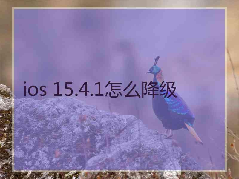ios 15.4.1怎么降级 ios 15.4.1怎么降级