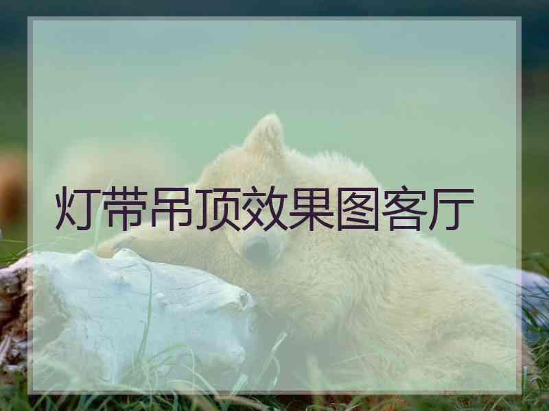 灯带吊顶效果图客厅 灯带吊顶效果图客厅