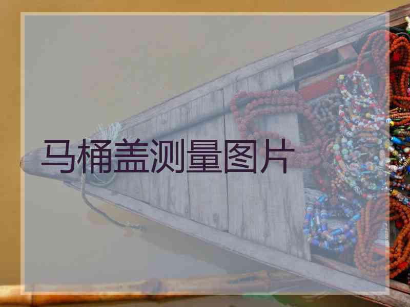 马桶盖测量图片 马桶盖测量图片