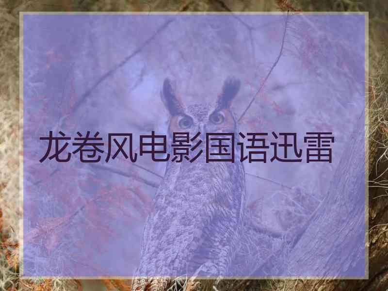 龙卷风电影国语迅雷 龙卷风电影国语迅雷