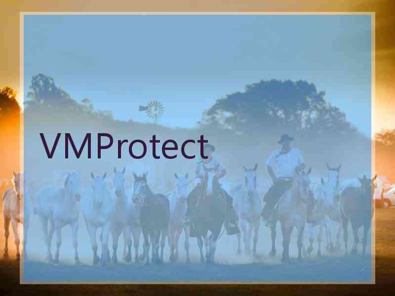 VMProtect VMProtect