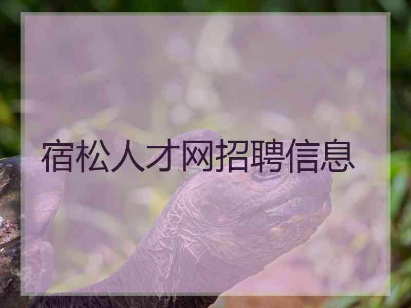 宿松人才网招聘信息 宿松人才网招聘信息
