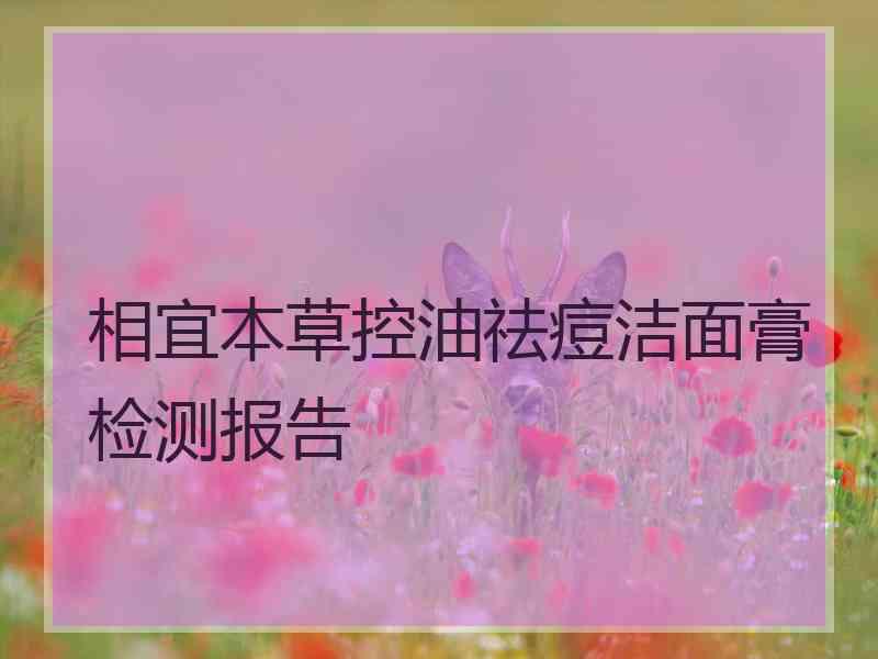 相宜本草控油祛痘洁面膏检测报告 相宜本草控油祛痘洁面膏检测报告