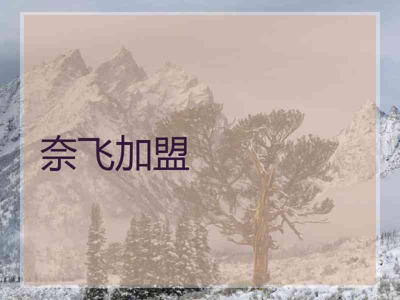 奈飞加盟 奈飞加盟