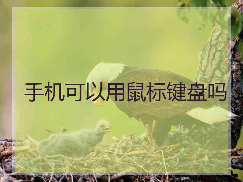 手机可以用鼠标键盘吗 手机可以用鼠标键盘吗