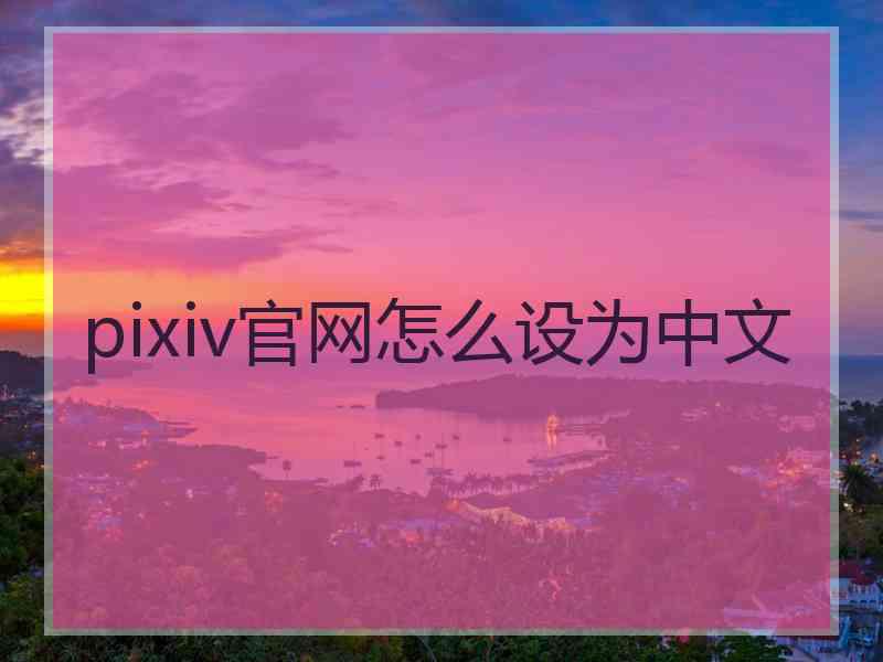 pixiv官网怎么设为中文