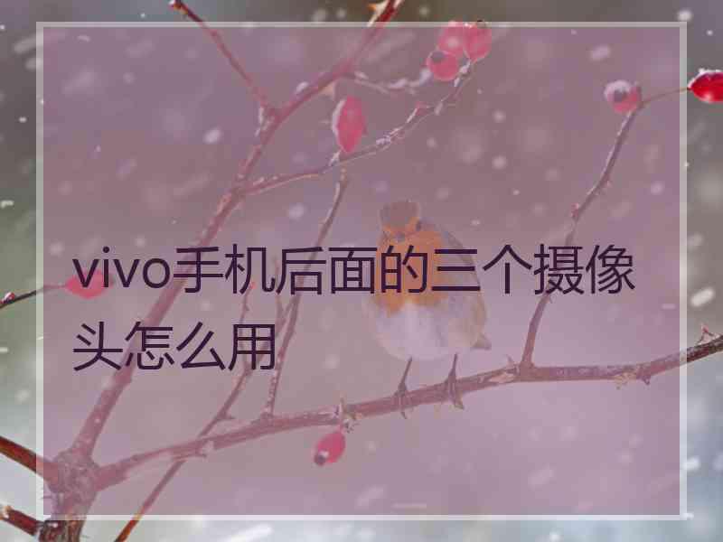 vivo手机后面的三个摄像头怎么用 vivo手机后面的三个摄像头怎么用