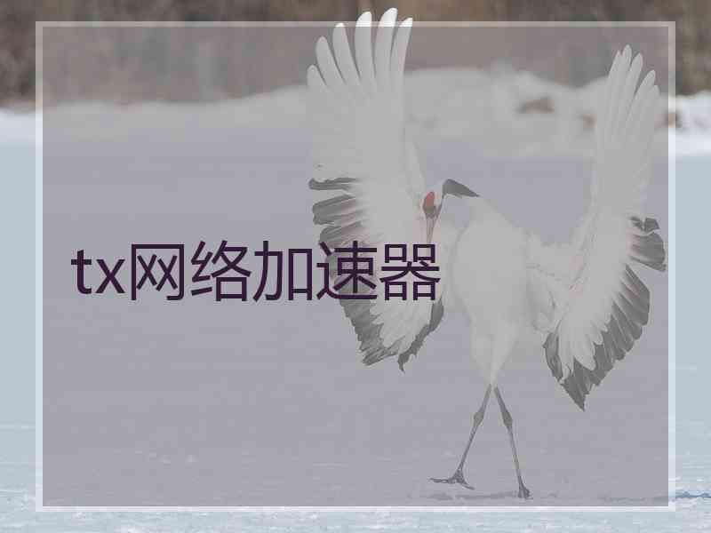 tx网络加速器 tx网络加速器