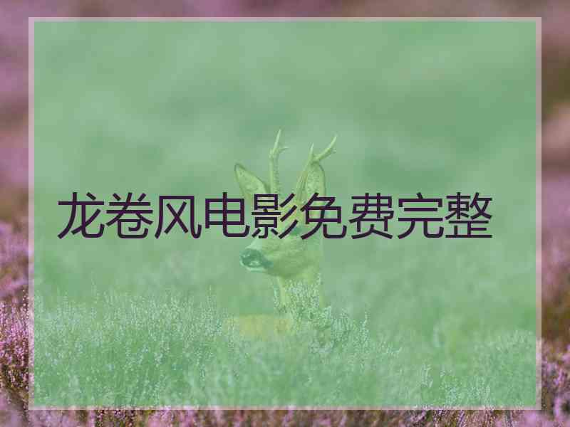 龙卷风电影免费完整 龙卷风电影免费完整