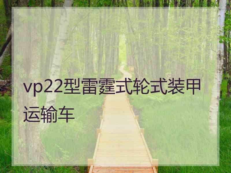 vp22型雷霆式轮式装甲运输车 vp22型雷霆式轮式装甲运输车