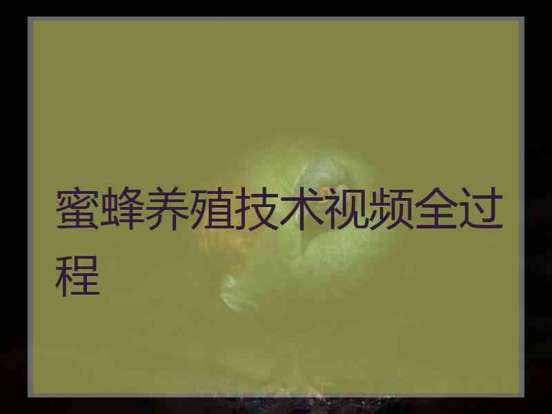 蜜蜂养殖技术视频全过程 蜜蜂养殖技术视频全过程