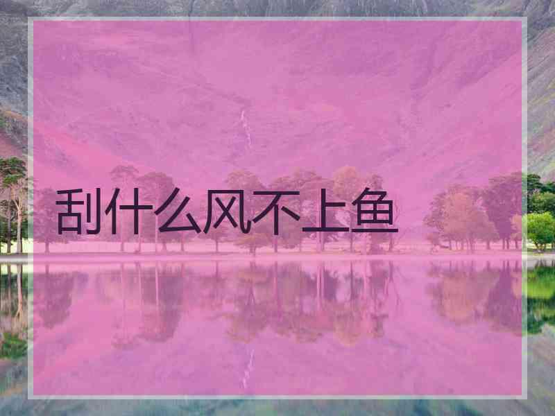 刮什么风不上鱼 刮什么风不上鱼