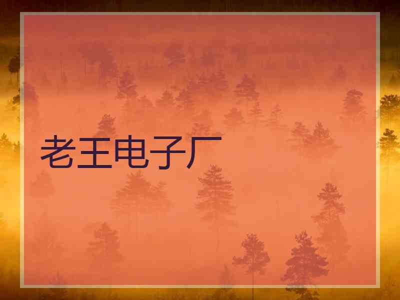 老王电子厂 老王电子厂