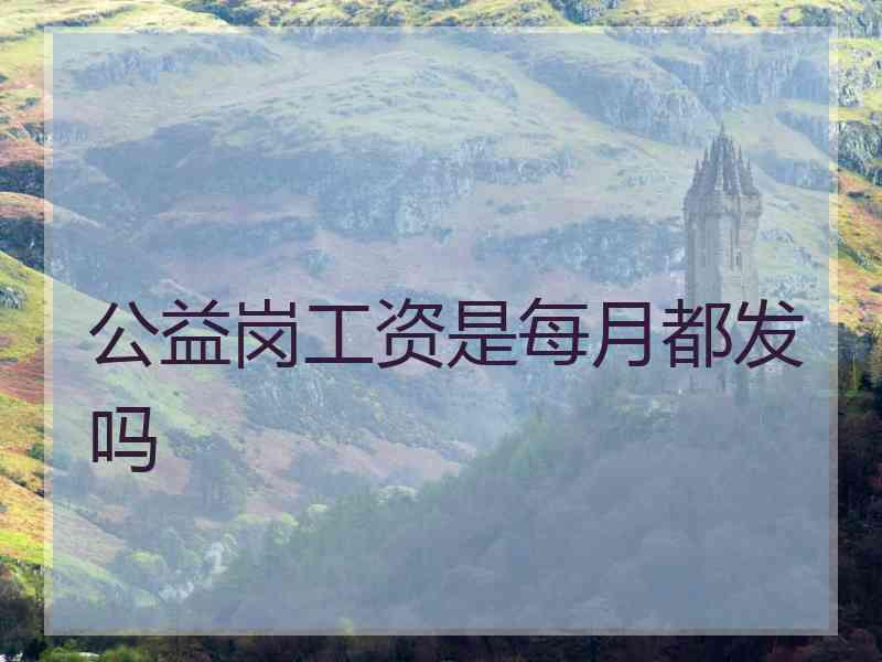 公益岗工资是每月都发吗 公益岗工资是每月都发吗