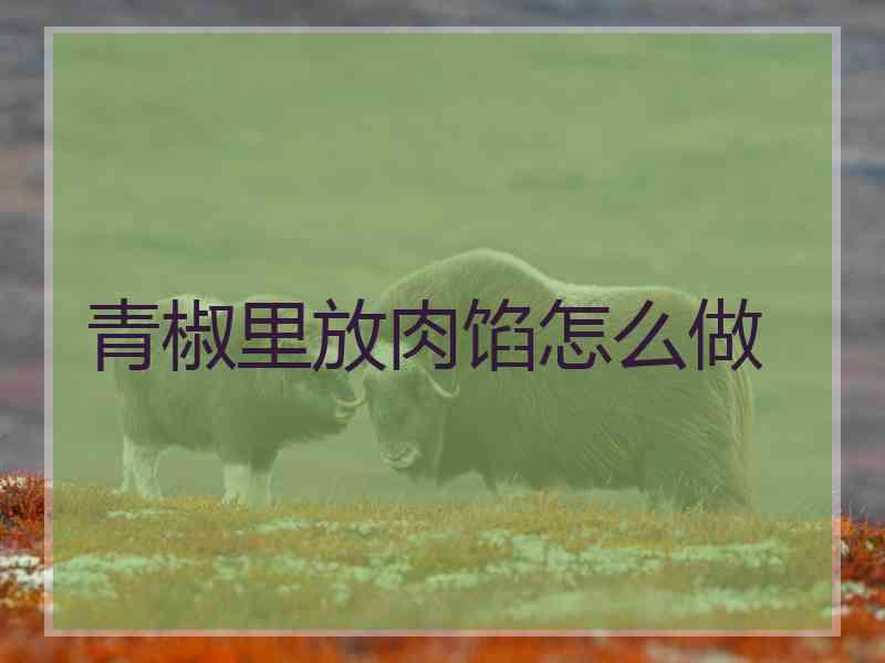 青椒里放肉馅怎么做 青椒里放肉馅怎么做