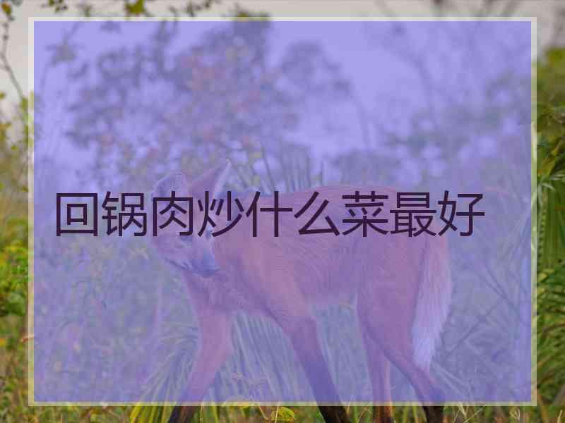 回锅肉炒什么菜最好 回锅肉炒什么菜最好