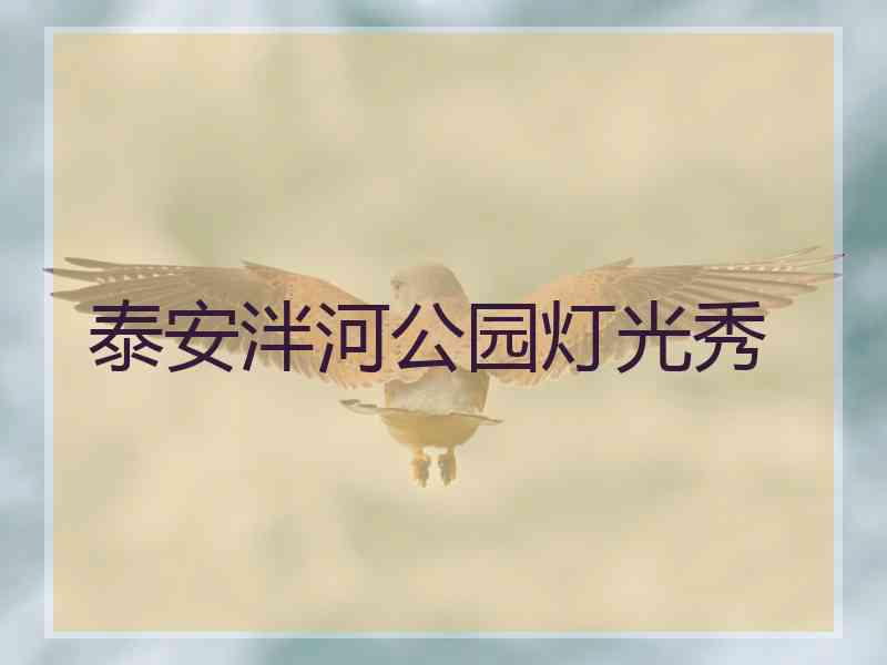 泰安泮河公园灯光秀 泰安泮河公园灯光秀