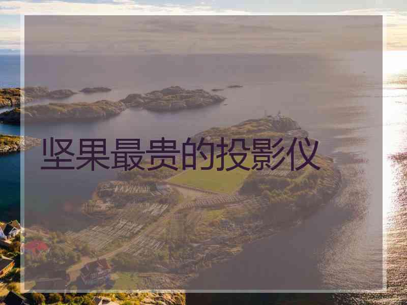 坚果最贵的投影仪 坚果最贵的投影仪