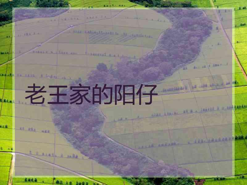 老王家的阳仔 老王家的阳仔