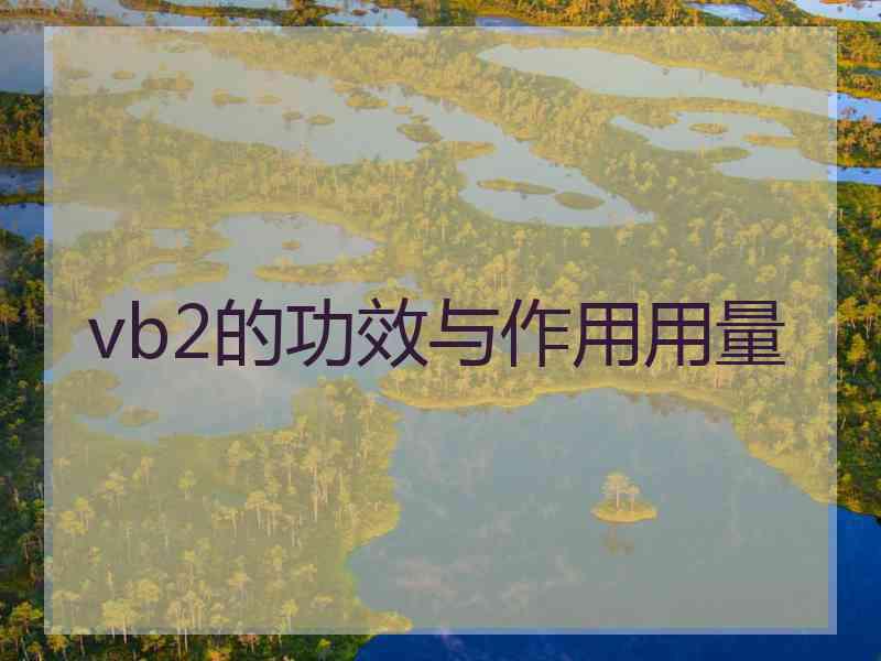 vb2的功效与作用用量 vb2的功效与作用用量